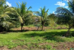 Fazenda de Dupla Aptidão com Cachoeiras e Infraestrutura Completa - 960 ha em Alvorada do Norte - GO