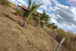 Fazenda para Pecuária em Alvorada do Norte – GO – 90 Alqueires