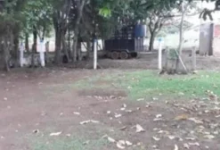 Fazenda para Pecuária com Lazer e Estrutura Completa – 9 Alqueires em Anápolis-GO