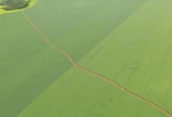 Fazenda Produtiva com 25 Anos de Plantio de Soja à Venda em Anápolis, GO