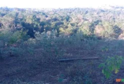 Área Nativa de 50.000 m² para Chácara em Anápolis – GO