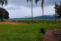 Fazenda Agrícola com Pivô Central em Aparecida de Goiânia - GO