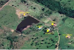 Fazenda de 125 alqueires em Araguapaz - GO