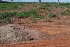 Fazenda Dupla Aptidão – 165 Alqueires em Aruanã, GO