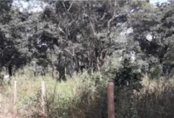 Lote Rural de 1.000 m² às margens do Rio Araguaia – Aruanã/GO
