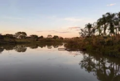 Sítio com 7,25 Hectares à Venda em Barro Alto – GO – Com Represa e Rio Maranhão