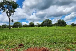 Fazenda Dupla Aptidão com 22 Alqueires e Infraestrutura Básica em Bela Vista de Goiás - GO