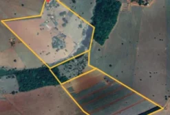 Sítio com 10 Alqueires em Bela Vista de Goiás – GO