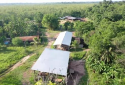 Fazenda Produtiva com 2.000 Hectares em Acará (PA) – 55 km de Belém por Asfalto
