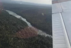 Fazenda Florestal Amazônica - 4.200 ha em Almeirim/PA - Madeira de Lei e Minerais
