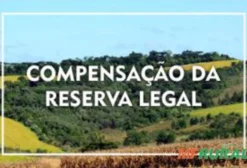Área para Compensação Ambiental de Reserva Legal - Altamira/PA