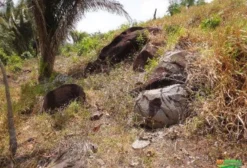 Jazida de Granito para Brita Não Explorada em Anapu, PA
