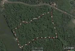 Terreno para Porto em Barcarena – PA | 250m de Frente para Rio e Grande Profundidade