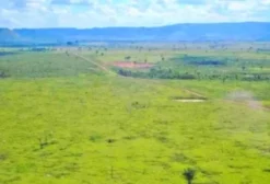 Fazenda para Pecuária e Agricultura em Belém, PA - Porteira Fechada com Gado Incluso