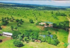 Fazenda Deus é Amor – 43 Alqueires em Brejo Grande do Araguaia/PA