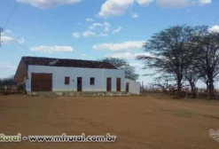 Sítio com Casa Grande e Estrutura Agropecuária em Araripina - PE