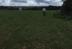 Fazenda Mista de 1.399 Hectares em San Pedro del Paraná - Itapúa