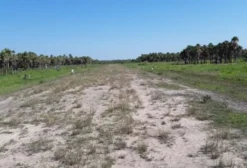 Fazenda no Paraguai – 7.540 ha em Fuerte Olimpo