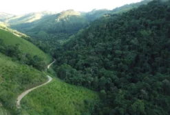 Área de 10 Alqueires para Compensação Ambiental em Adrianópolis - PR