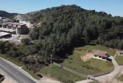 Área Rural de 1 Hectare com 2.000 Pinus Taeda de 23 Anos - Almirante Tamandaré/PR