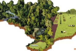 Área de Reserva Legal no Paraná – Venda por Hectare em Altônia/PR