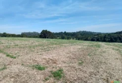 Sítio à Venda em Araucária – Colônia Formigueiro – 12 Alqueires com Nascentes e Tanques