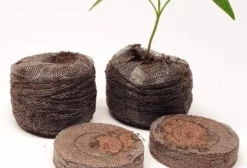 Kit com 10 Células de Germinação para Sementes, Enraizamento e Clonagem