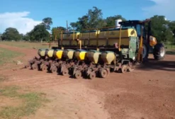 Plantadeira Tatu 13 Linhas Ano 2003 em Baliza/GO