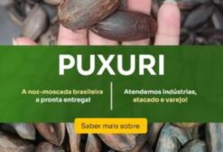 Sementes de Puxuri (Pixuri) – Noz-Moscada Brasileira Amazônica – Produtor Direto