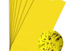 Kit 20 Armadilhas Amarelas Adesivas para Fungus Gnats, Tripes e Insetos Voadores