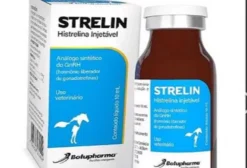 Strelin 10mL Hormônio – Indução e Sincronização da Ovulação em Éguas