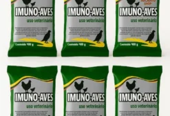 Kit Imuno-Aves 6 Unidades (2,4kg) – Tratamento Curativo e Preventivo de Bronquite e Viroses em Galinhas