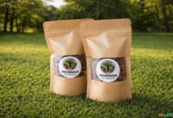 Pacote de Sementes de Moringa Oleífera – 100 Unidades para Silagem e Nutrição Animal