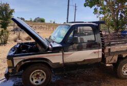 Chevrolet D20 Deluxe 1990 – Caminhonete Rural em Vila Rica/MT