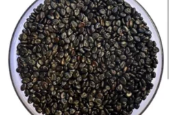 Sementes de Crotalária Juncea para Adubo Verde – Olímpia/SP