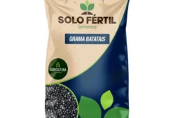 Grama Batatais (Paspalum notatum) Certificada – Saco 25kg para Pastagem Permanente