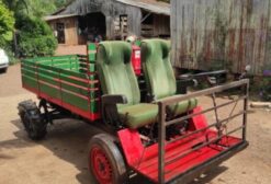 Carreta Agrícola Motorizada Girico 4x2 com Motor YBR 125
