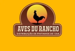 Pintinhos Caipira de Um Dia – Venda por Atacado em Brasília/DF