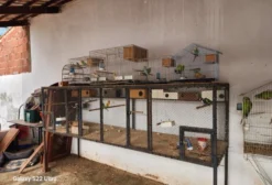 Viveiro Completo para Aves à Venda em Goiânia GO