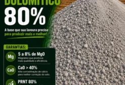 Calcário Dolomítico Semi Calcinado – Corretivo de Acidez do Solo (PRNT 80-90%)