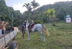 Cavalo Mangalarga Tordilho Claro – Manso e de Sangue Bom – Guapimirim/RJ