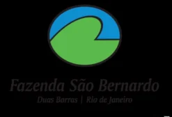 Bezerras Nelore PO e 1/2 Sangue - Duas Barras - RJ