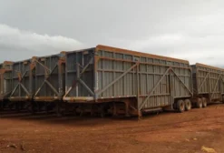 Lote de 18 Trelas Canavieiras Galego Tombo Esquerdo em Paranaíba, MS