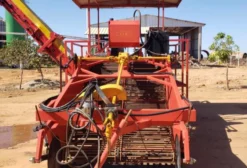 Colhedeira de Batata Doce CLK-Nova à Venda em Ipiranga do Norte - MT