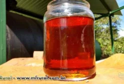 Extrato Pirolenhoso Concentrado – Defensivo Agrícola Natural para Controle de Pragas e Fertilização do Solo