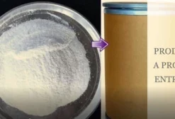 Ciromazina 99% – Inseticida Agrícola para Controle de Moscas (Barrica 25kg)