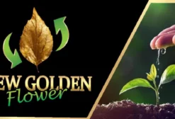Adjuvante Agrícola New Golden Flower – Óleo Vegetal para Controle de Insetos