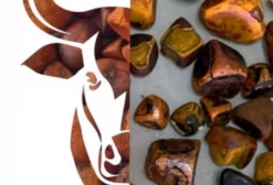 Compro Pedra de Fel Bovino (Cálculo Biliar / Gallstones)