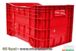Caixa Hortifruti Plástica para Mudas e Indústria - Itaúna MG