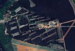 Granja Completa para Locação em Itu-SP – Infraestrutura Avícola e Agroindustrial